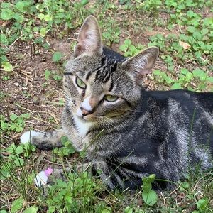 Meet your Posher, Sam